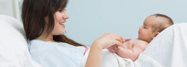 What is c-section seeding?