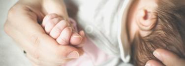 It’s show time - Placenta Practice are hitting the road