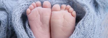 Placenta cosmetics – 60 years on